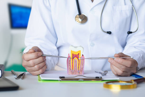 Best Broken or Chipped Tooth Repair in Saltville, VA